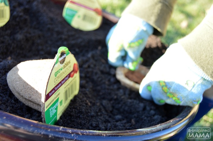 Planting a Pizza Garden in a DIY Pizza Garden Planter - JC Planting the Easy Gro-able Seed Pod - at B-Inspired Mama