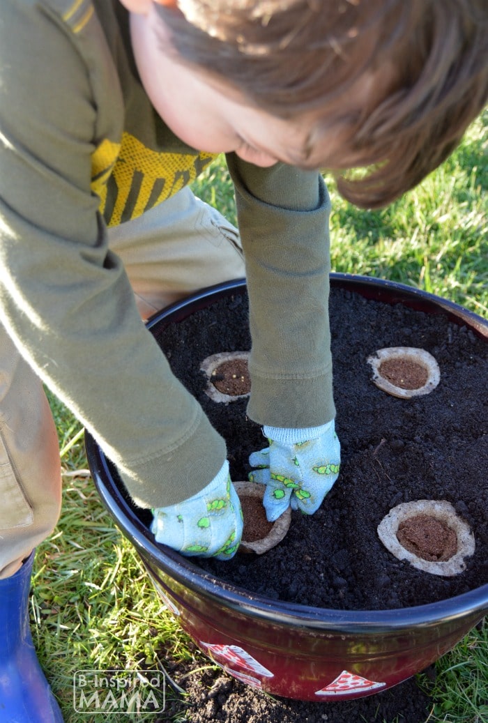 Planting a Pizza Garden in a DIY Pizza Garden Planter - JC Pushing Down the Gro-able Seed Pod - at B-Inspired Mama