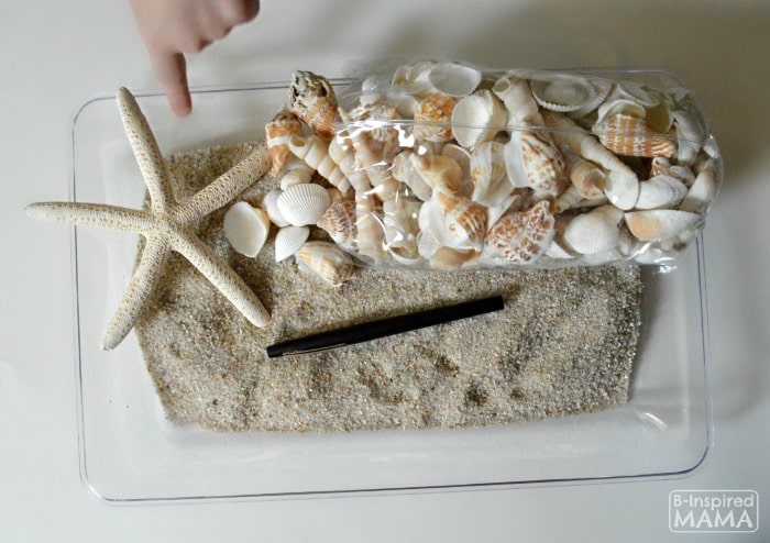 Learning the Alphabet with Seashells and Sand Sensory Writing - Materials - at B-Inspired Mama