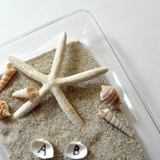 Learning the Alphabet with Seashells and Sand Sensory Writing