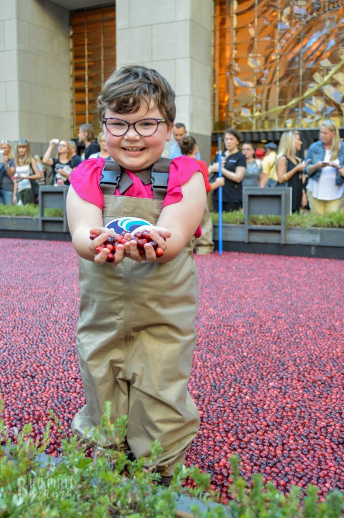 A smiling child, wearing hip waders with the Ocean Spray logo, stands in a makeshift cranberry bog with water half way up to her knees and cranberries floating on the surface. The child holds out her hands which are holding cranberries. A crowd of people stand, mingling and watching, in the distance background.