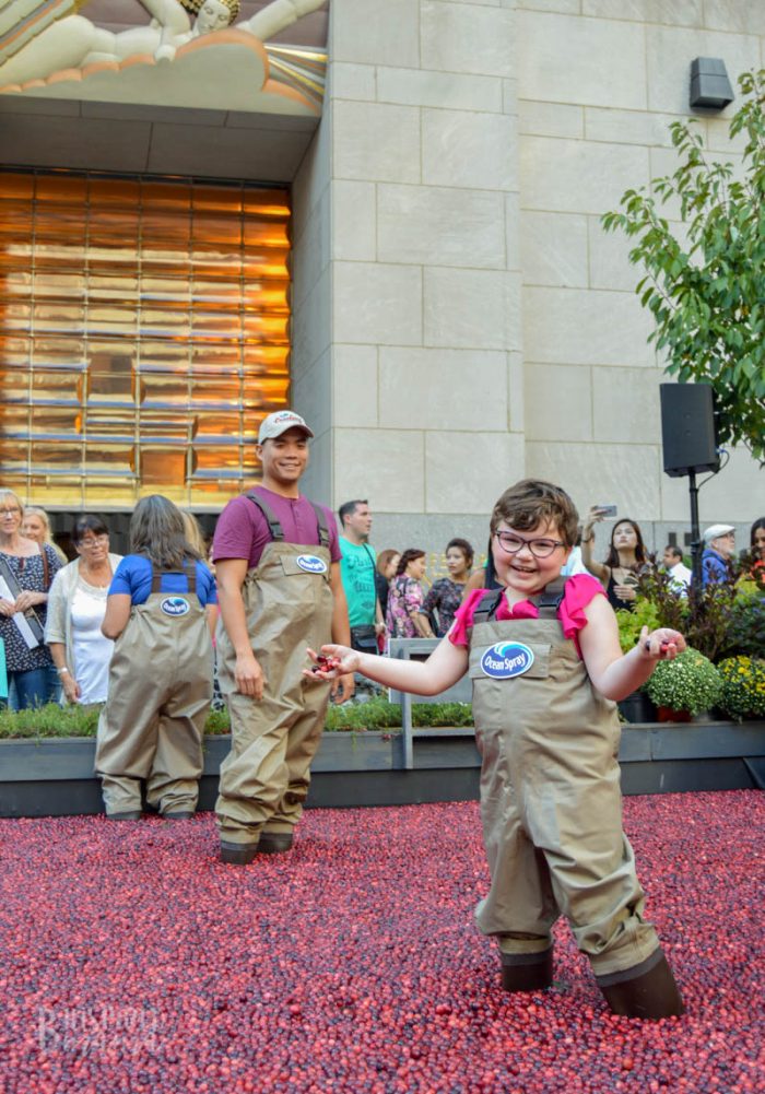 A smiling child, wearing hip waders with the Ocean Spray logo, stands in a makeshift cranberry bog with water half way up to her knees and cranberries floating on the surface. The child holds out her hands which are holding cranberries. A male cranberry farmer in hip waders stands behind the child looking on. And a crowd of people stand watching in the distance background.
