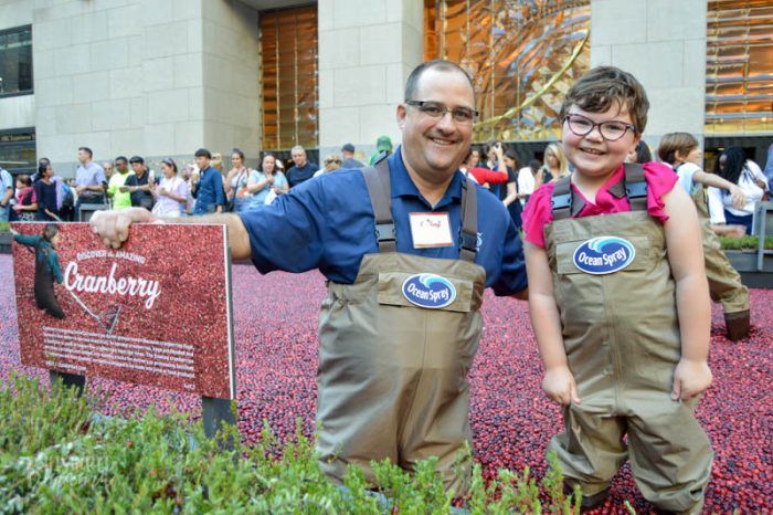 A smiling child, wearing hip waders with the Ocean Spray logo, stands in a makeshift cranberry bog with water half way up to her knees and cranberries floating on the surface. Next to her stands a male cranberry farmer, also in hip waders with the Ocean Spray logo, with his hand on a sign about cranberry harvesting. A crowd of people stand, mingling and watching, in the distance background.