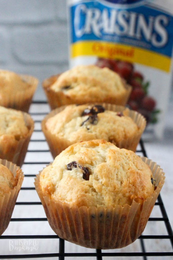 A photo of golden muffins made with a Cranberry Orange Muffins Recipe.