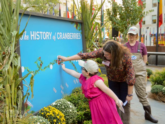 A child and adult woman reach to put a label on a large display featuring a timeline and the title "The History of Cranberries." A female cranberry farmer, wearing tall hip waders and a baseball cap, looks on from the background.