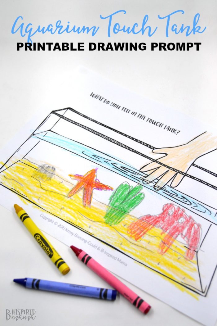 Touch Tank Drawing Prompt for Kids + Our Family Trip to Adventure Aquarium - at B-Inspired Mama