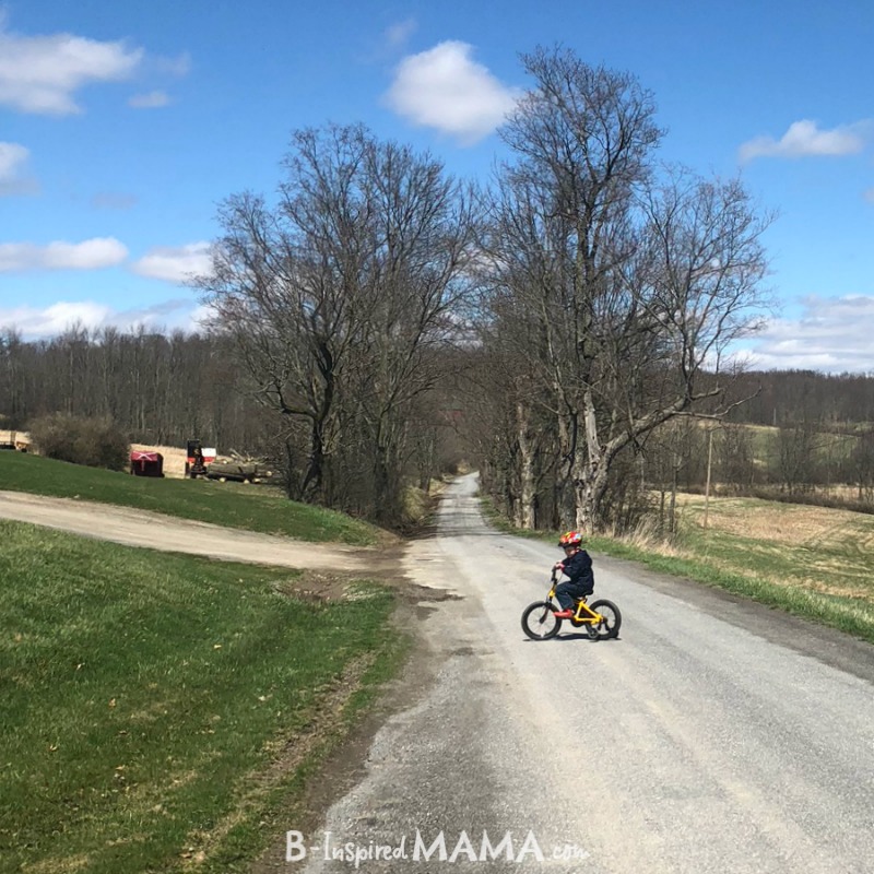 My boy riding his Schwinn SmartStart Bike + Kids Bike and Kids Bike Helmet Sizes - Made Easy