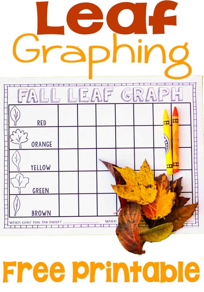 Fall Leaf Graphing Activity
