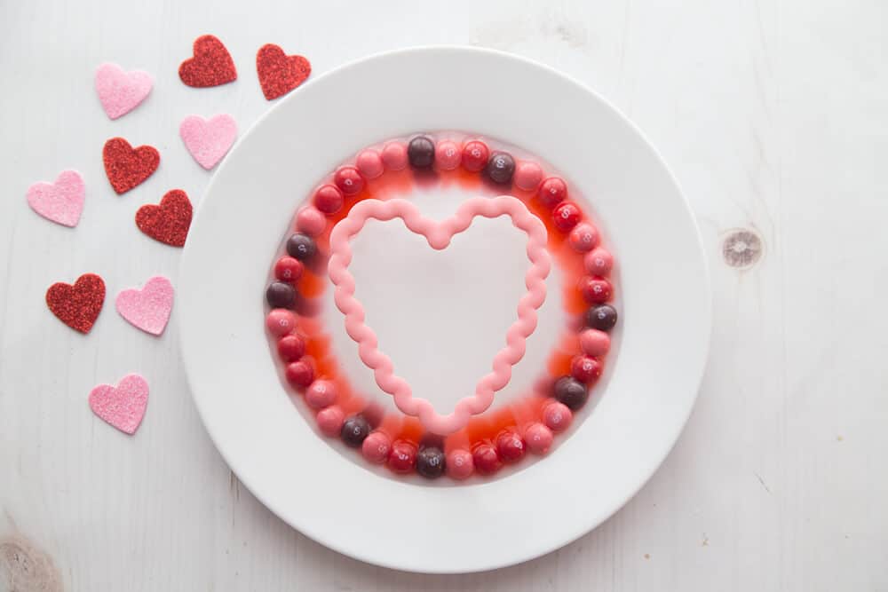 Valentine Skittles Science Activity