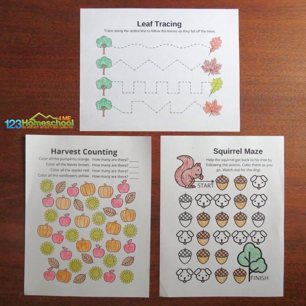A photo of 3 Autumn worksheets for preschool kids including a Leaf Tracing activity page with jagged dotted lines connecting trees and colorful fall leaves, a Harvest Counting page with colored-in clipart of pumpkins, leaves, and sunflowers, and a Squirrel Maze game printable featuring a squirrel and brown acorns leading to a green tree.